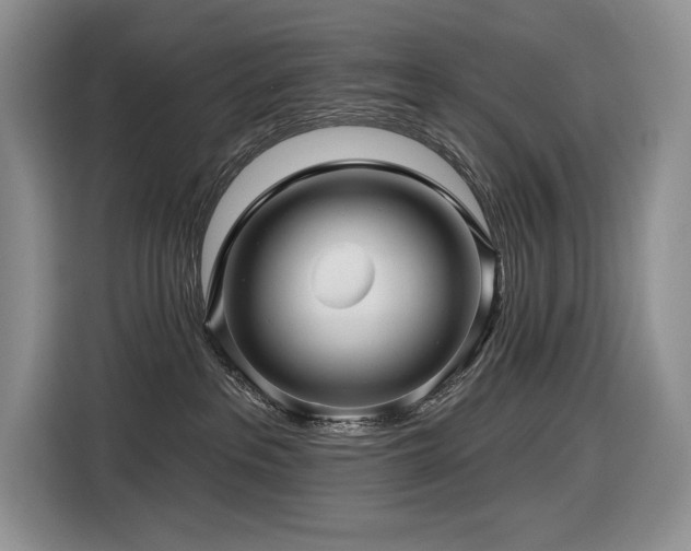 X0000116610237200912111140