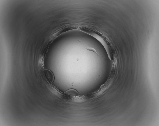 X0000116610238200912111140