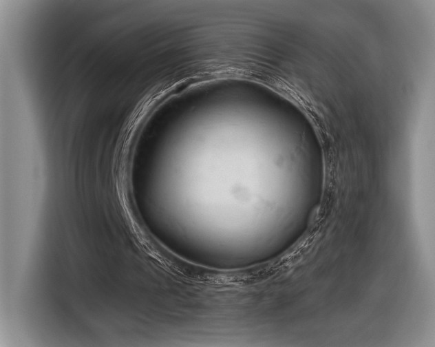 X0000116610241200912111139
