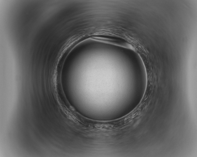 X0000116610242200912111139