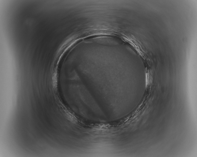 X0000116610243200912111139