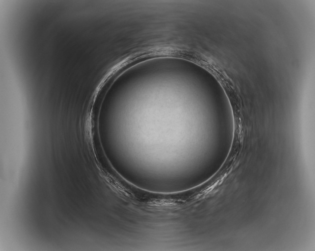 X0000116610244200912111140