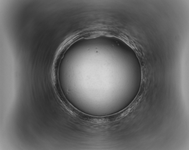 X0000116610245200912111140