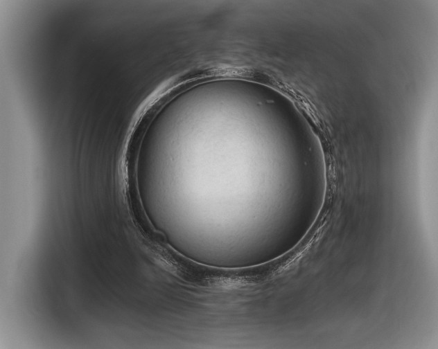 X0000116610246200912111140