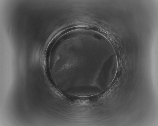 X0000116610247200912111140