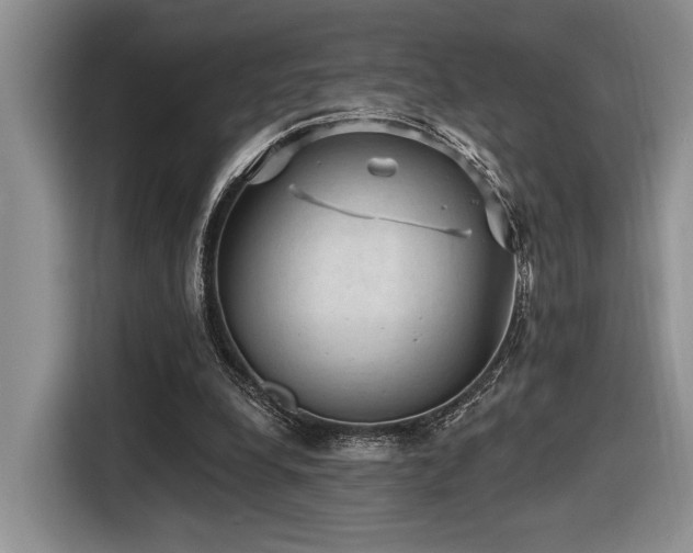 X0000116610248200912111140