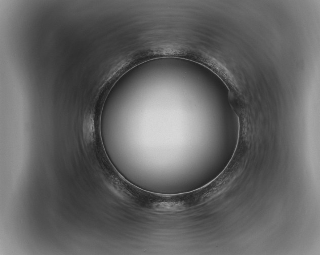 X0000116610251200912111140