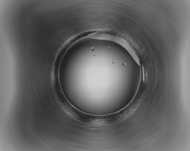 X0000116610252200912111140