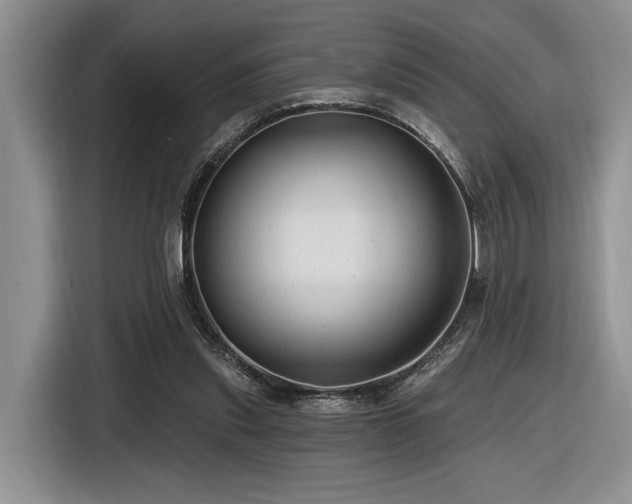 X0000116610253200912111140