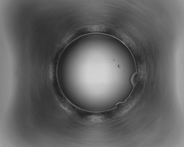 X0000116610255200912111140