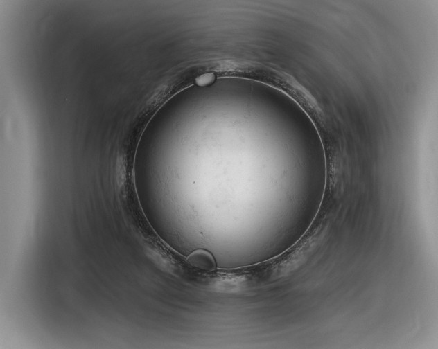 X0000116610257200912111140