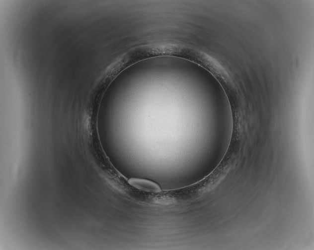 X0000116610258200912111140