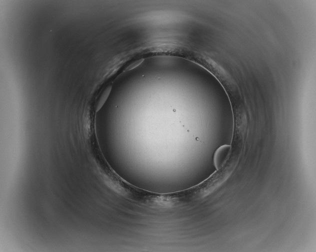 X0000116610261200912111140