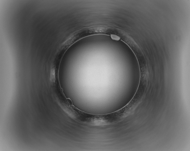 X0000116610262200912111140
