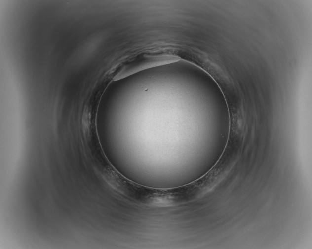 X0000116610263200912111140