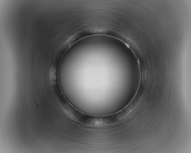 X0000116610264200912111140