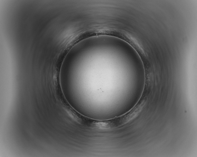 X0000116610265200912111140