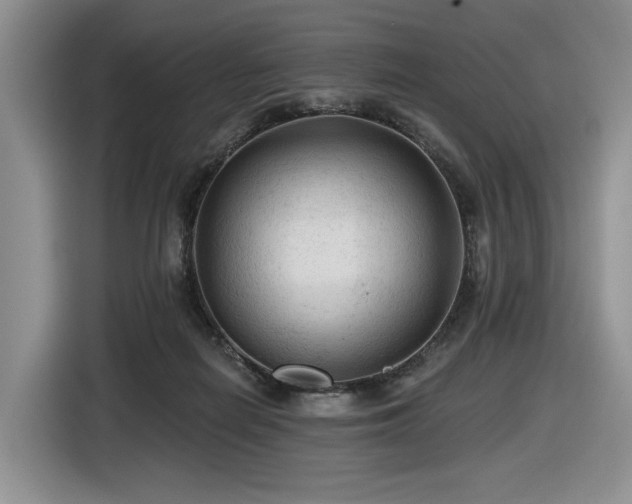 X0000116610266200912111140