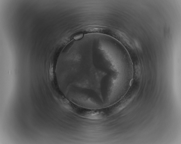 X0000116610267200912111140