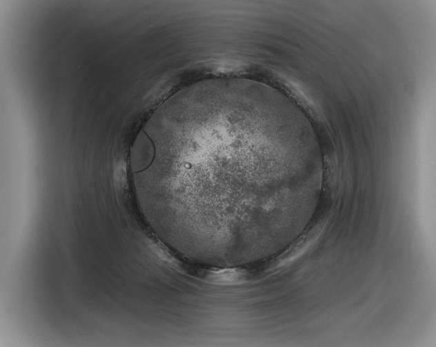 X0000116610269200912111140