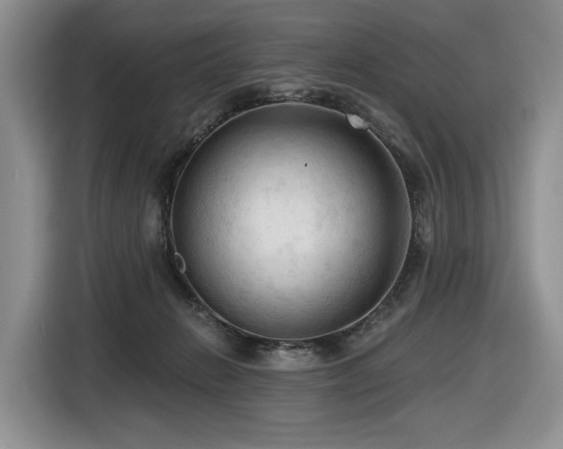 X0000116610270200912111140