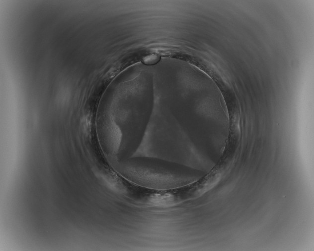 X0000116610271200912111140