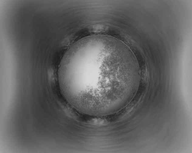 X0000116610272200912111140