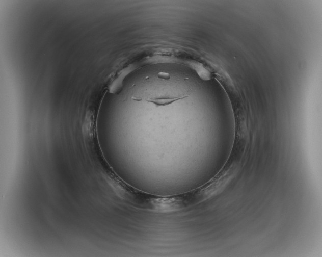 X0000116610273200912111140