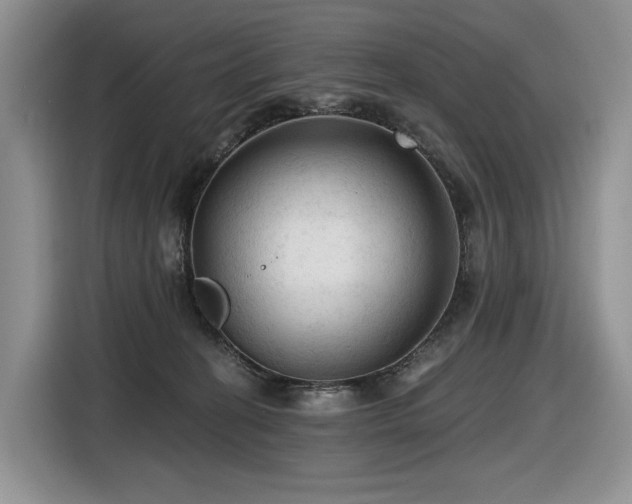 X0000116610274200912111140