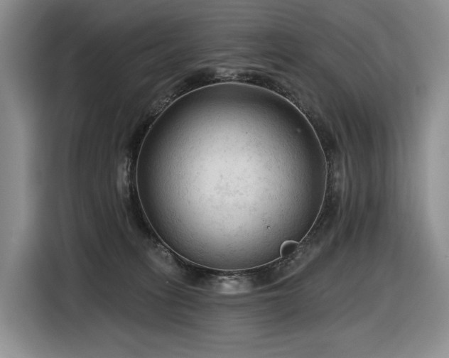 X0000116610275200912111140