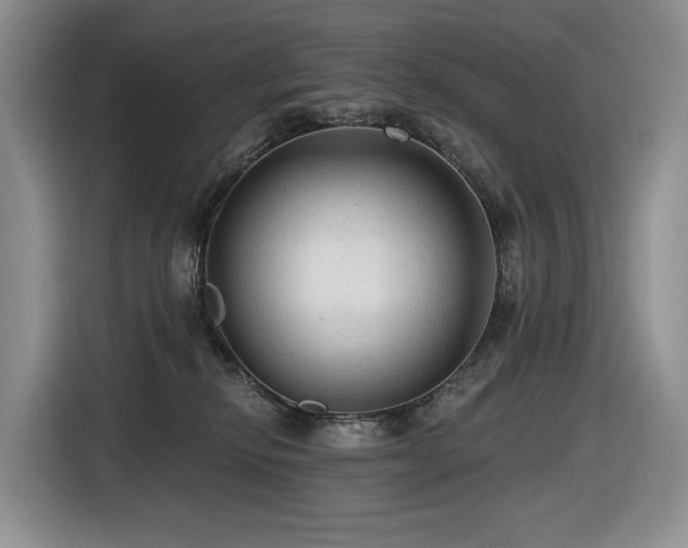 X0000116610278200912111140