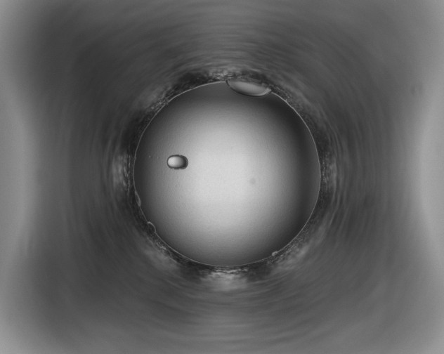 X0000116610280200912111140