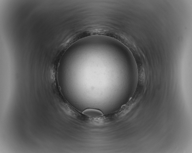 X0000116610282200912111140
