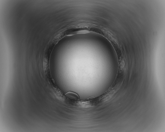 X0000116610283200912111140