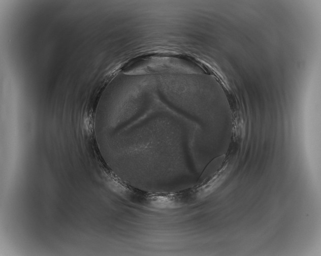 X0000116610285200912111140