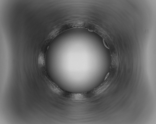 X0000116610287200912111140