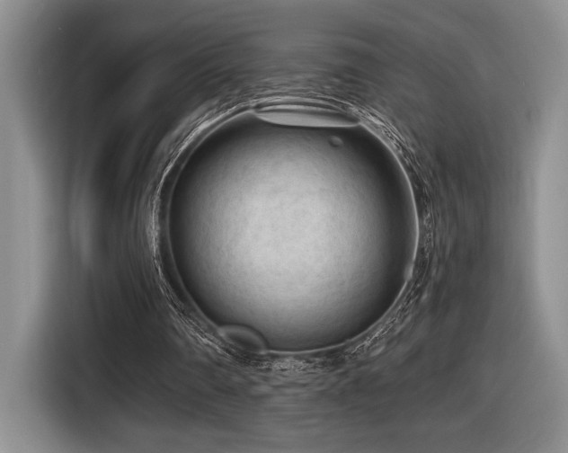 X0000116610290200912111139