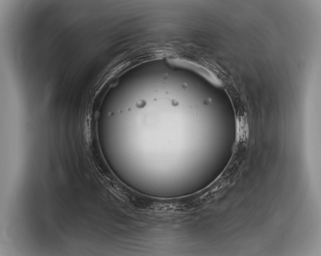 X0000116610291200912111139