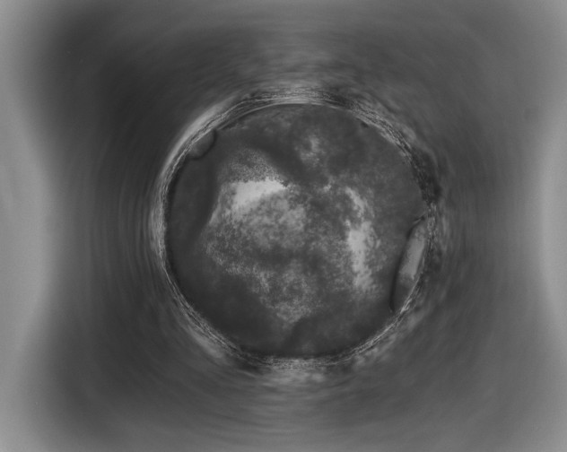 X0000116610293200912111139