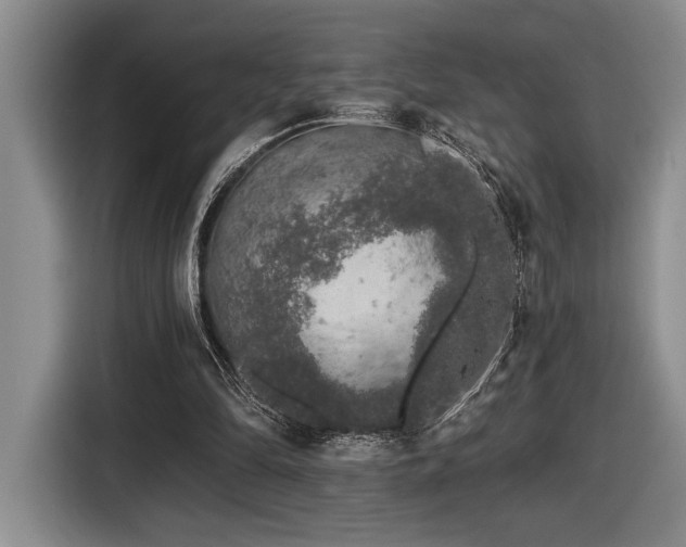 X0000116610294200912111139
