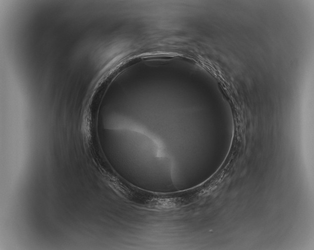 X0000116610295200912111139