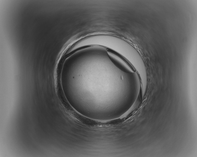 X0000116610296200912111139