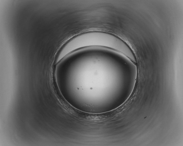 X0000116610297200912111139