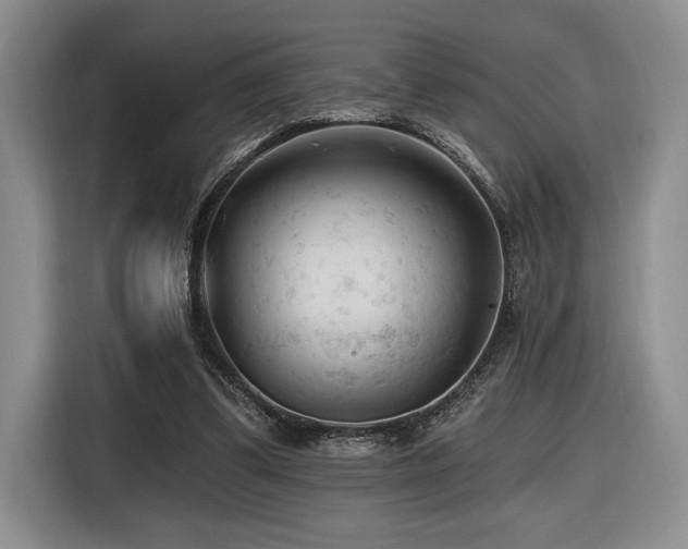 X0000116610299200912111139