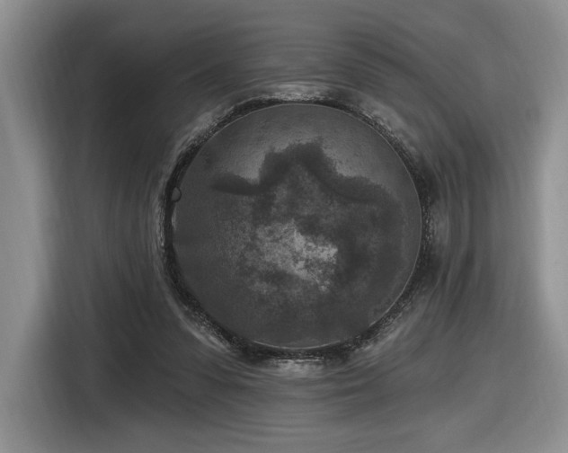X0000116610303200912111139