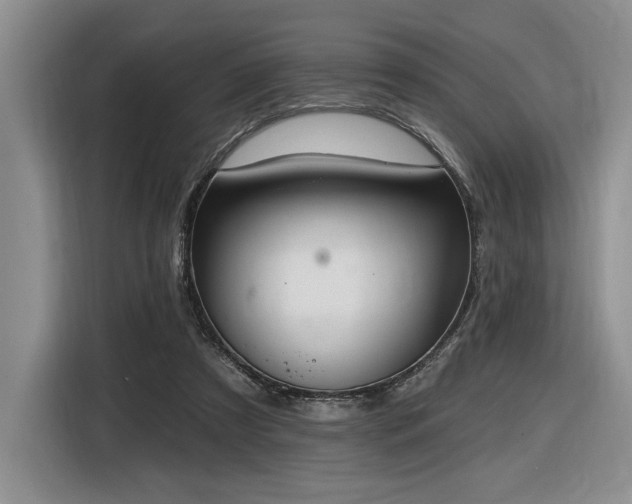 X0000116610305200912111139