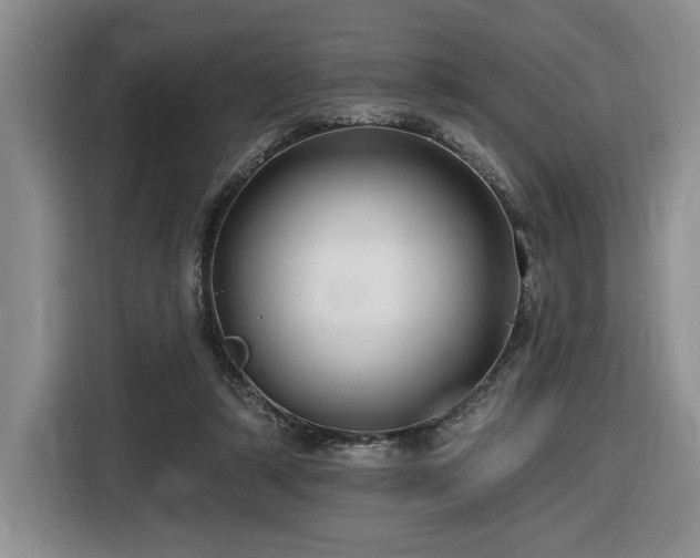 X0000116610306200912111139