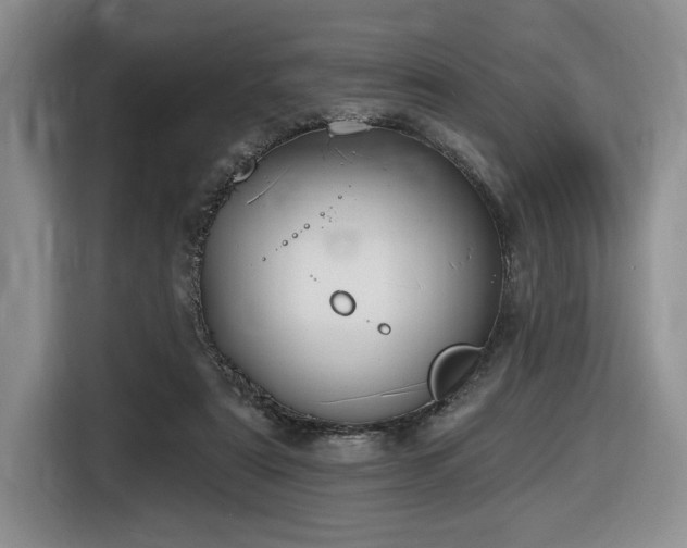 X0000116610307200912111139