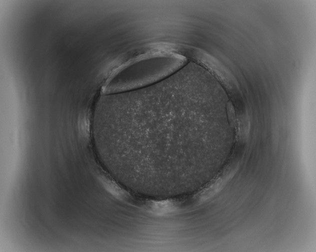 X0000116610309200912111139