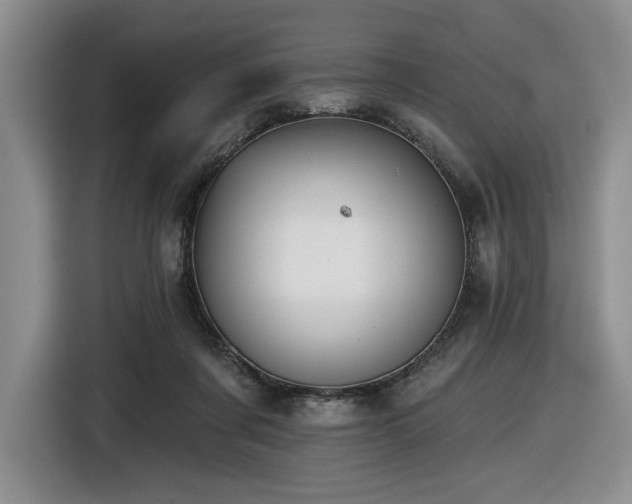 X0000116610311200912111139